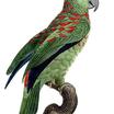 Festive Parrot